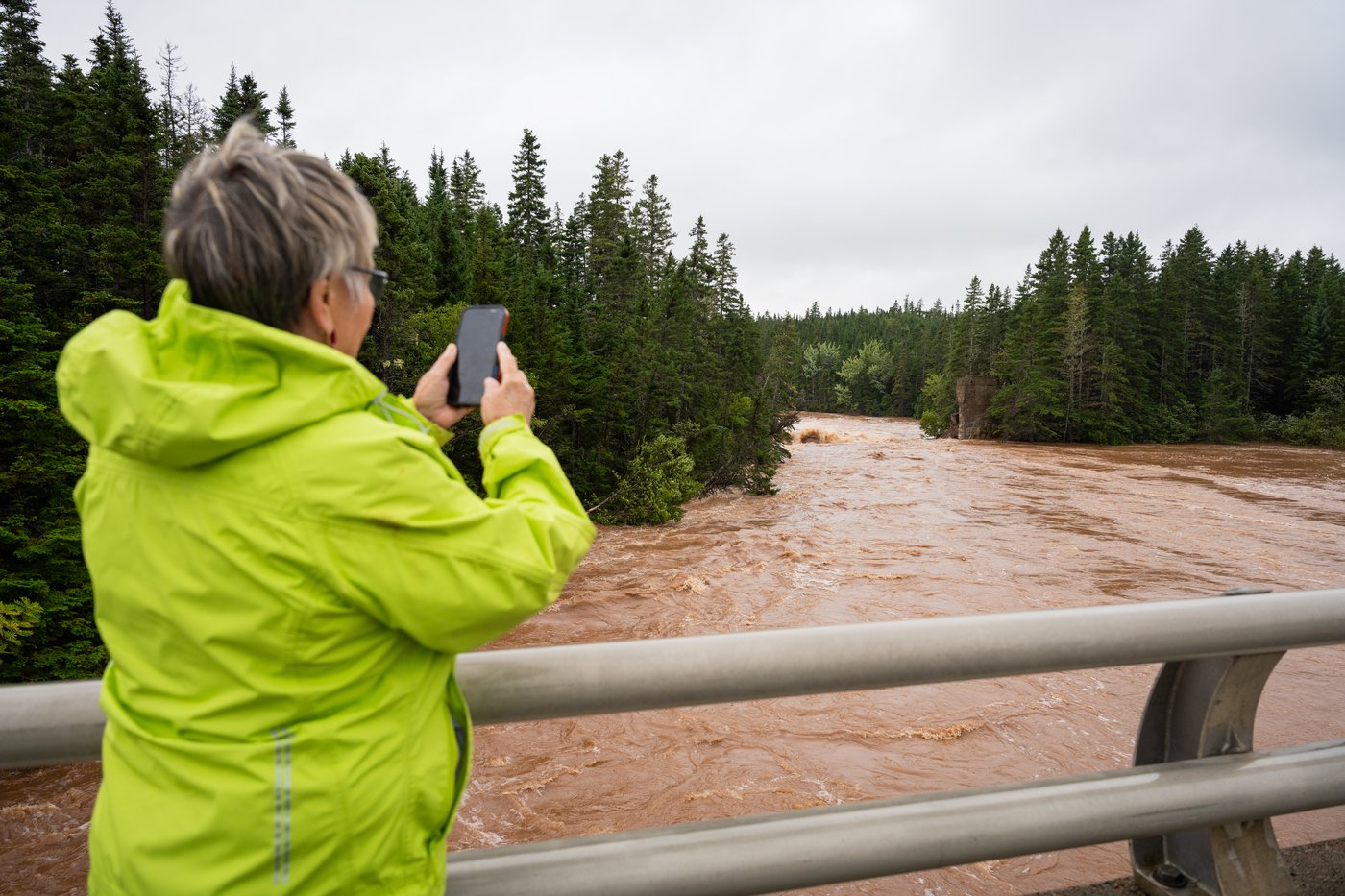 Person in a neon jacket on a bridge taking a photo of a muddy brown river surrounded by evergreen trees on both banks.