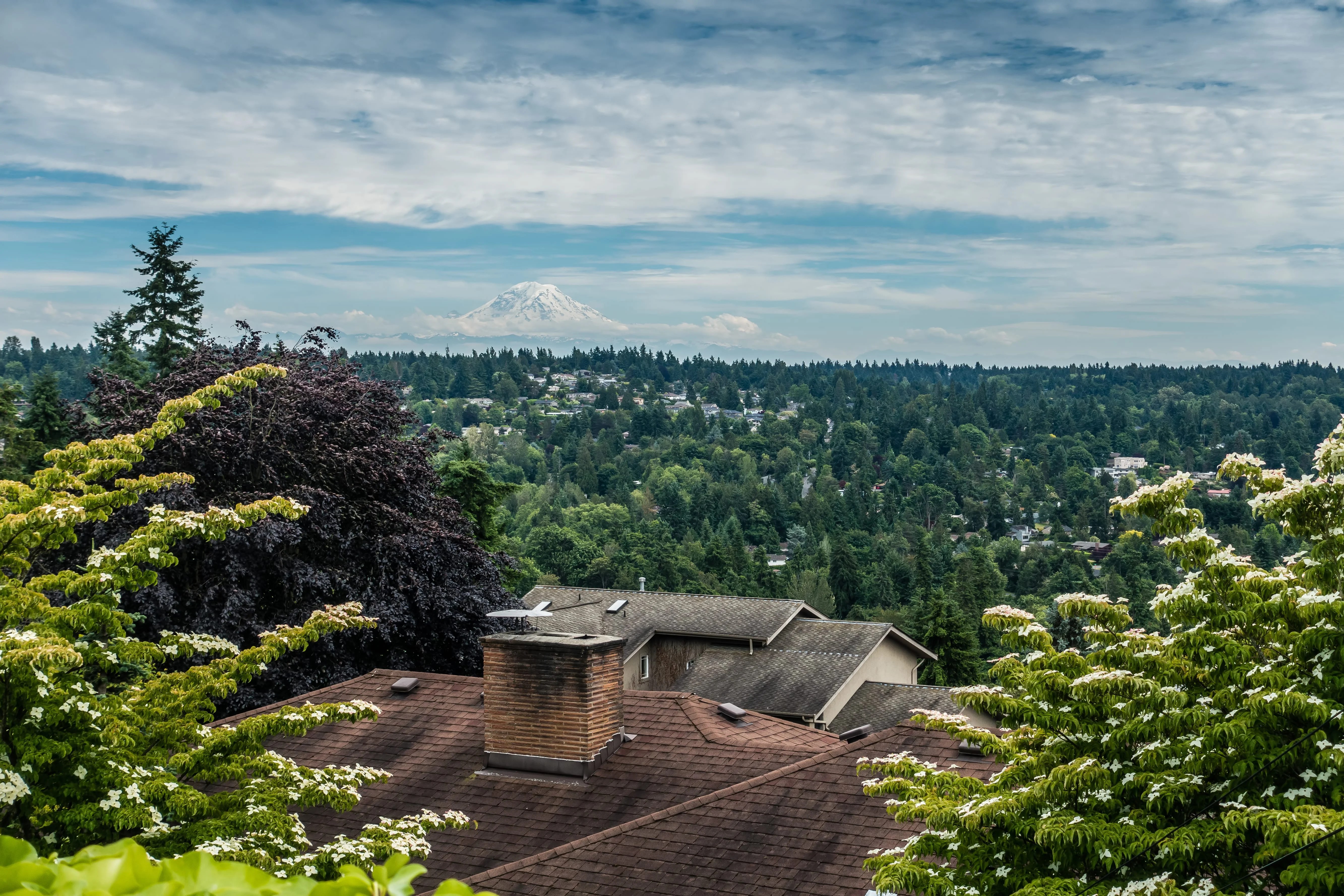 Location details for seattle carpet cleaning located at 13224 10th ave s in burien, wa 98168. Burien Carpet Cleaners Saniclean Dry Carpet Cleaning