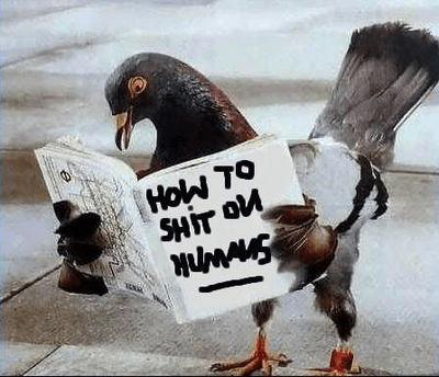 Fishing Poles Lessons