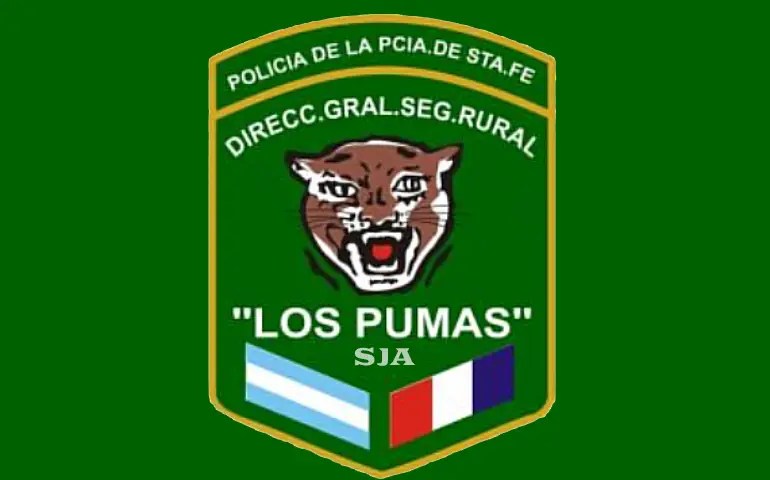LOS PUMAS SAN JAVIER