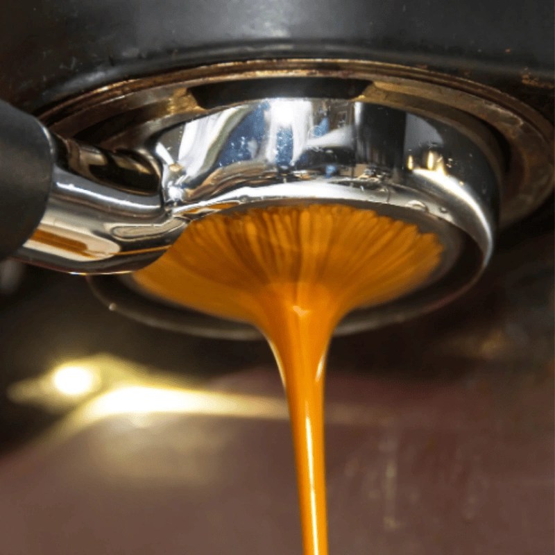 CREMA PERFECTA CON CAFE SANTA ELENA