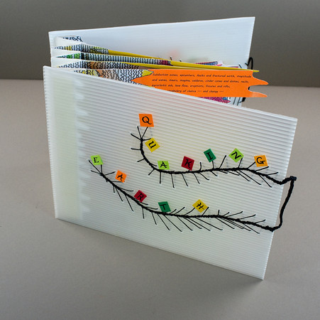 Quaking Earth by Lee Mann