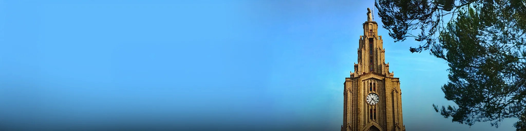 Pala Banner Image