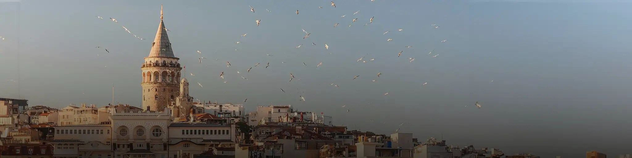 Turkey Banner 1