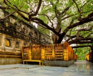 Kashi Bodhi Darshan