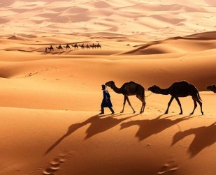 The Great Moroccan Mirage
