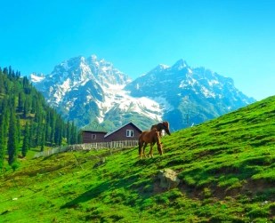 Kashmir