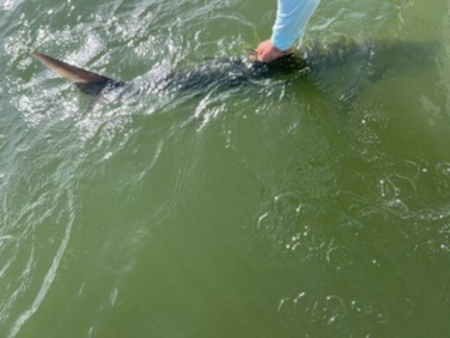 Island Fishing Report: Why Fall Fishing Is Southwest Florida’s Best-Kept Secret