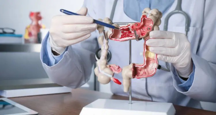 Gastroenterology