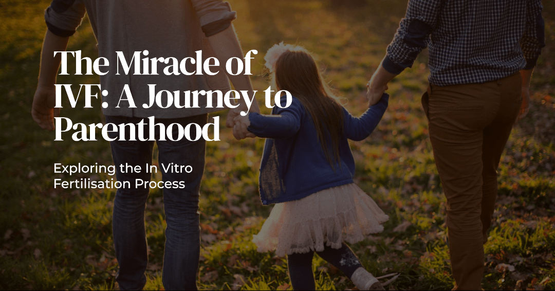 ivf procedure and process