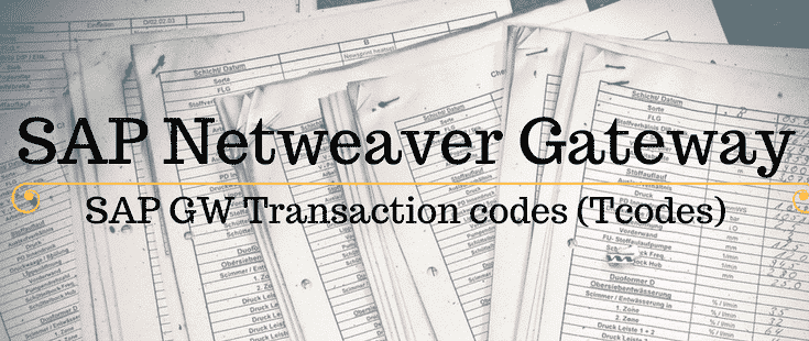 SAP Netweaver Gateway