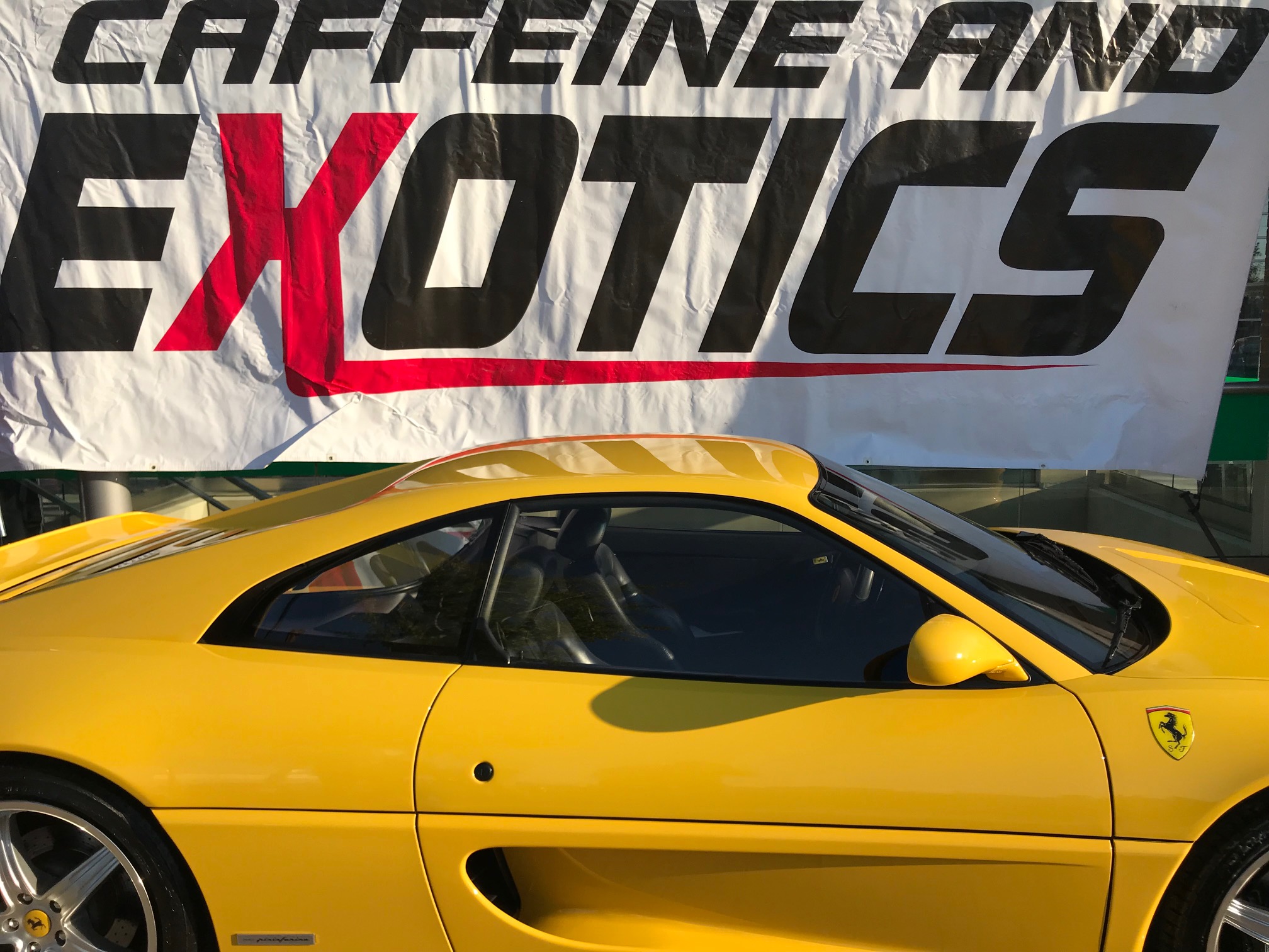 CaffeineExotics_01