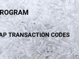 Program Tcode In Sap Transaction Codes List