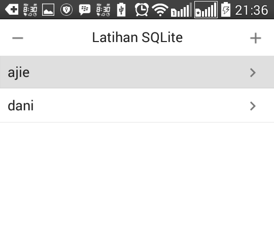 Tampilan setelah insert data - aplikasi Android akses database SQLite dengan Delphi XE 8