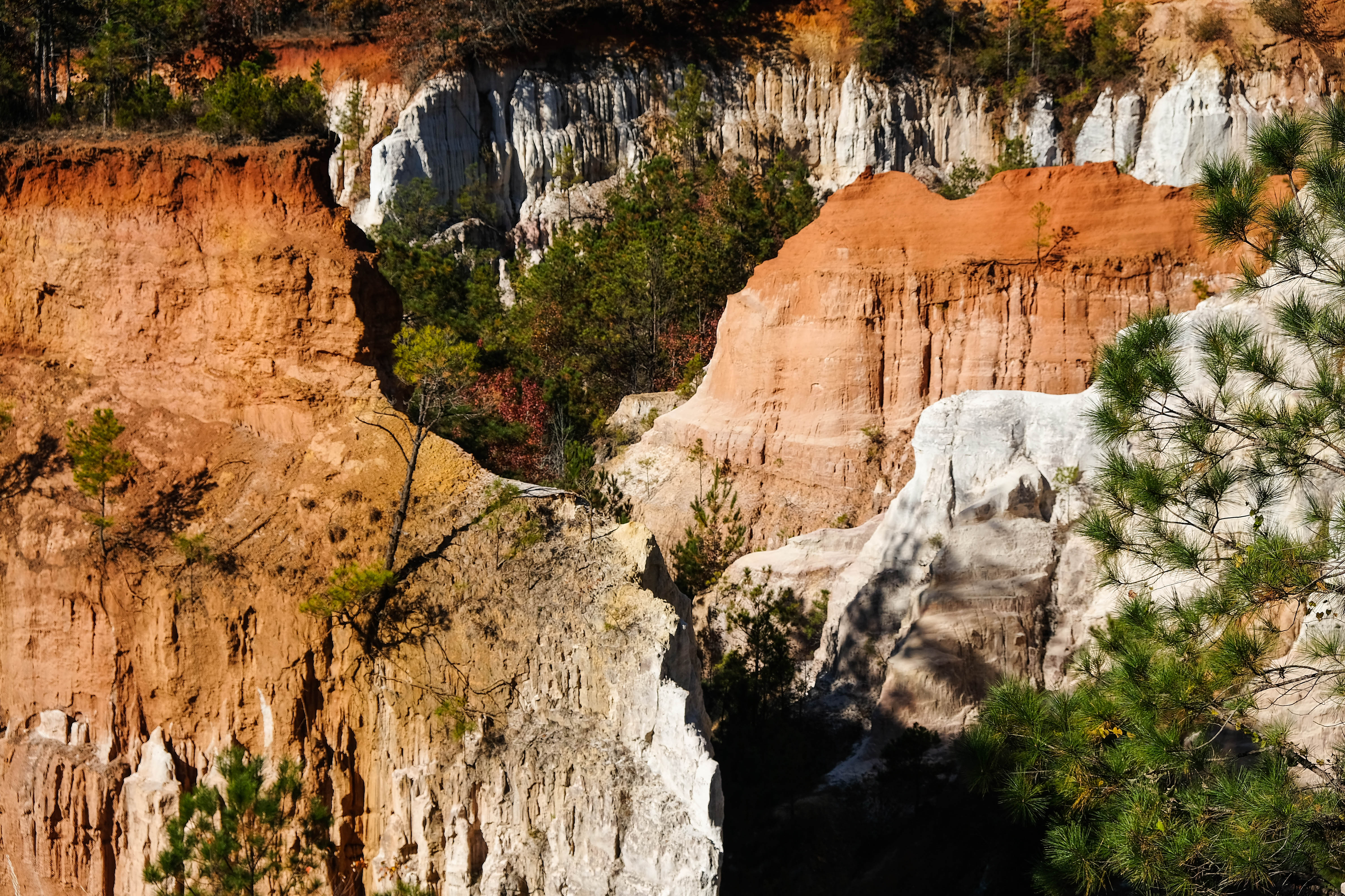 Visiting Georgia's “Little Grand Canyon” – Sara L. Cottle