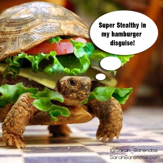 Turtle burger