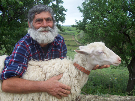 lodovica