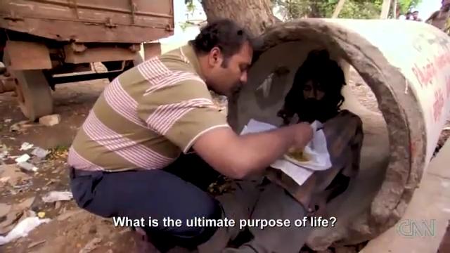 Narayan Krishnan: A Companion to the Forgotten