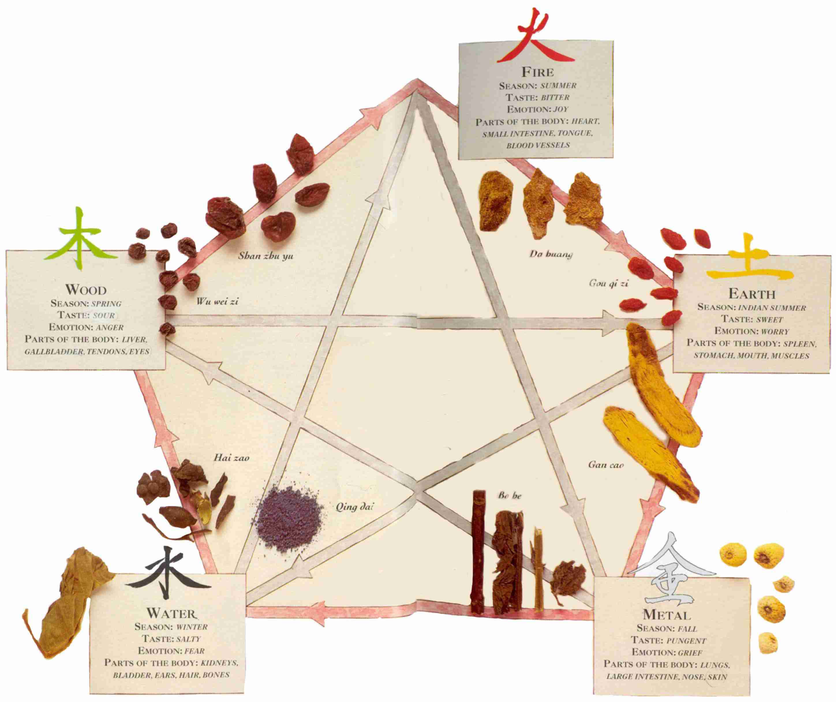 5 Elemente Ernahrung