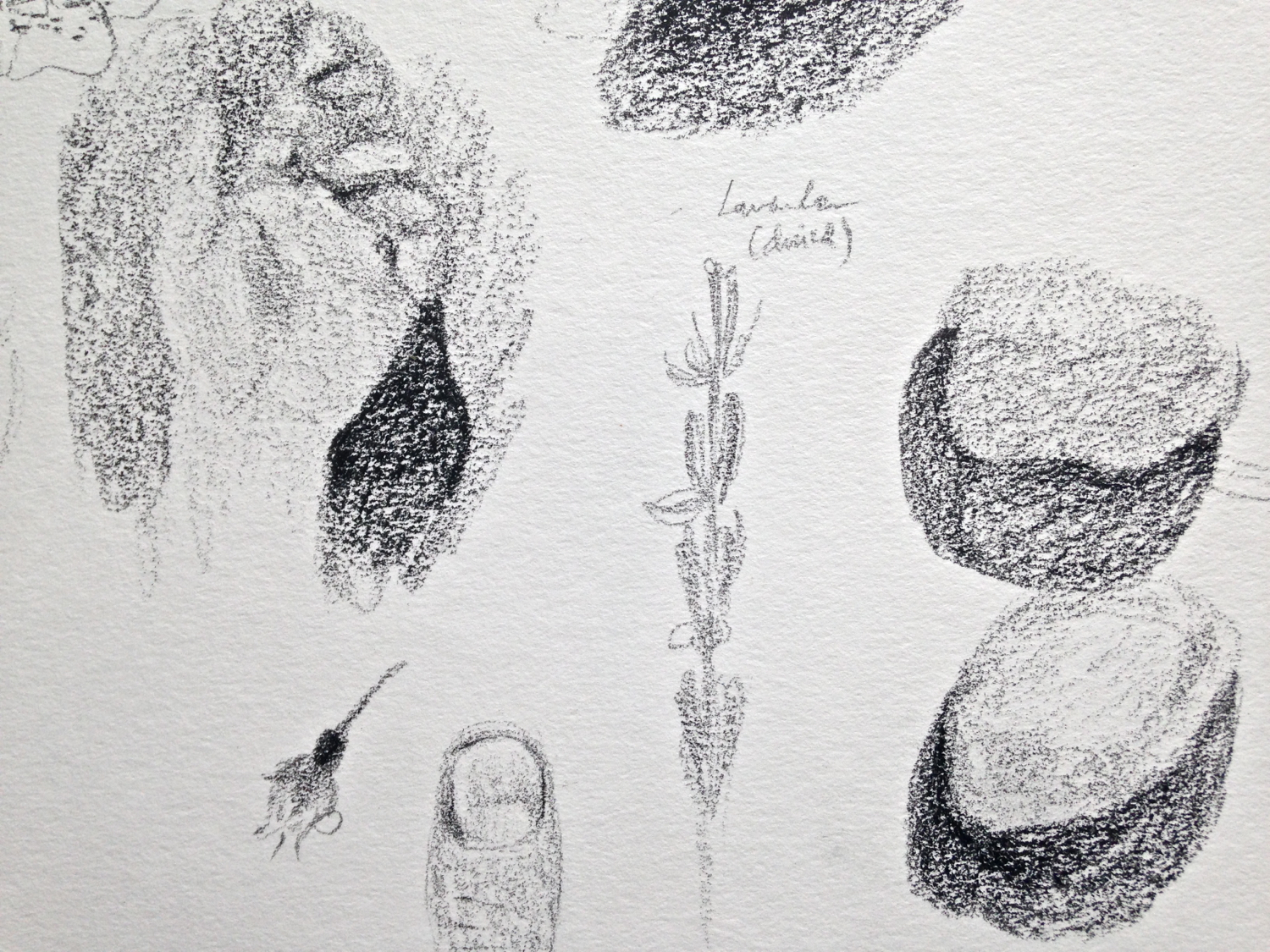Hand, Rocks