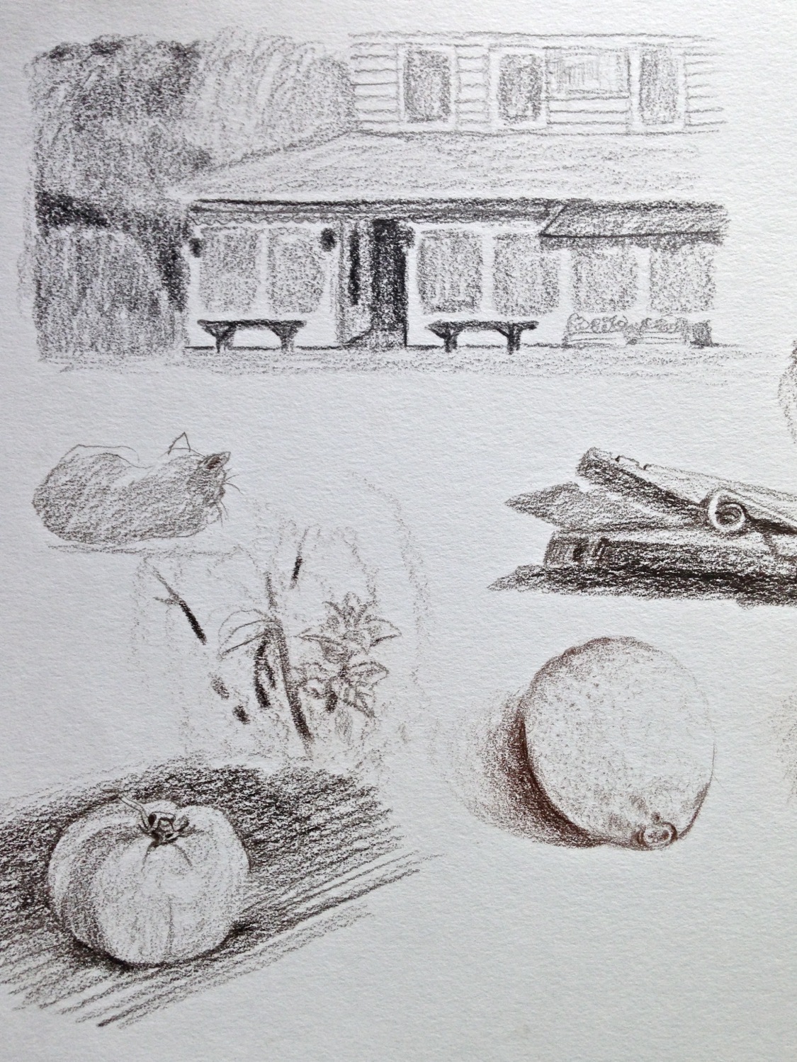 Assorted Things (View Across the Street)