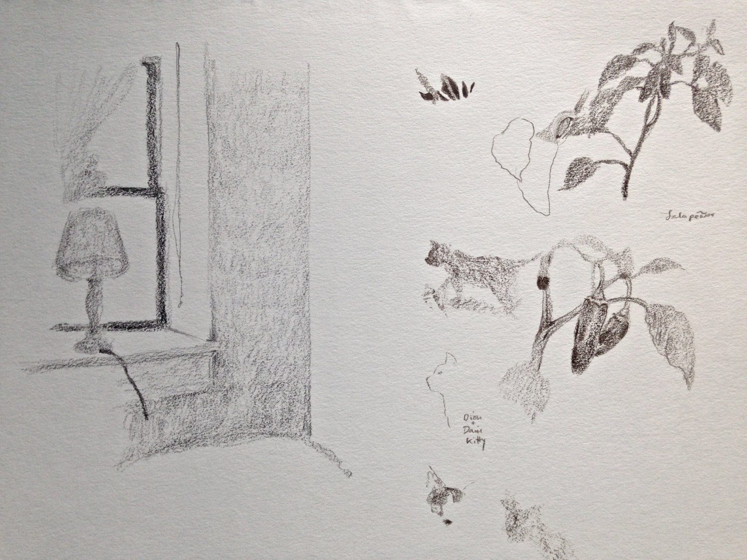 NYC Apt with Cats, Jalapenos