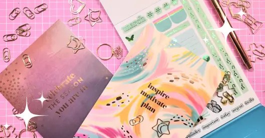 Erin Condren Sticker Books