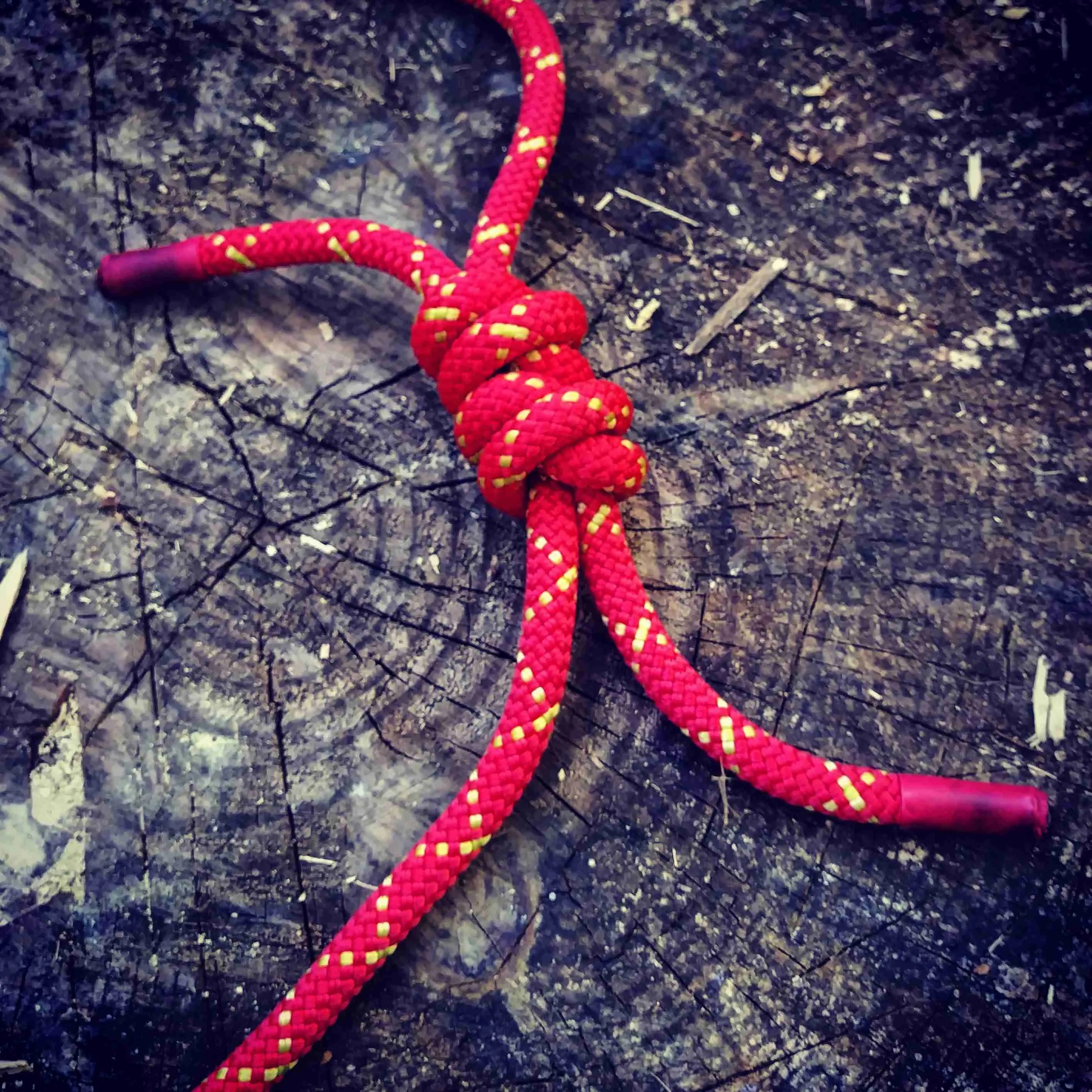 Sunday Afternoon Bushcraft Outdoor Knots Child Under 12