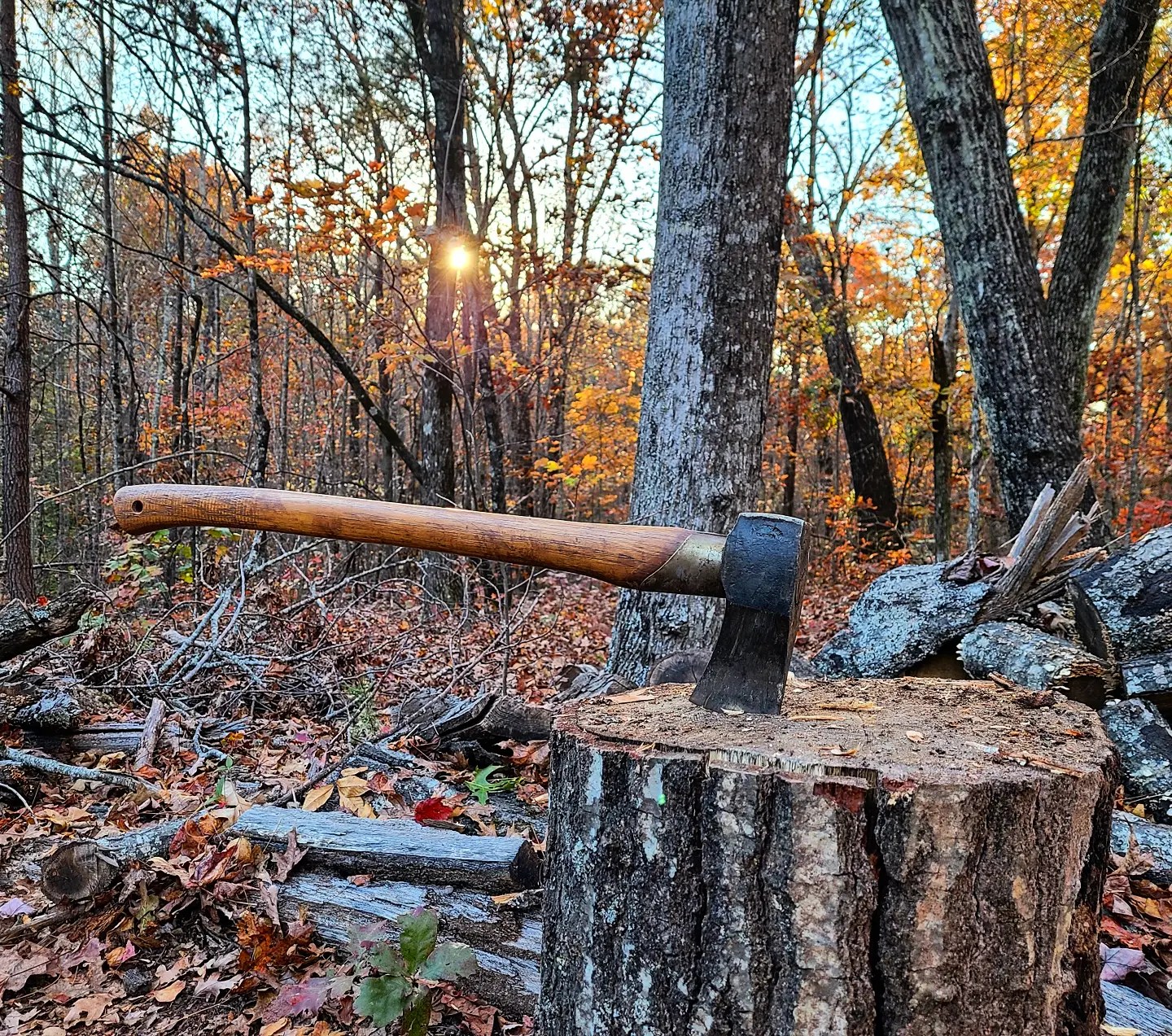Sunday Afternoon Bushcraft: Axemanship