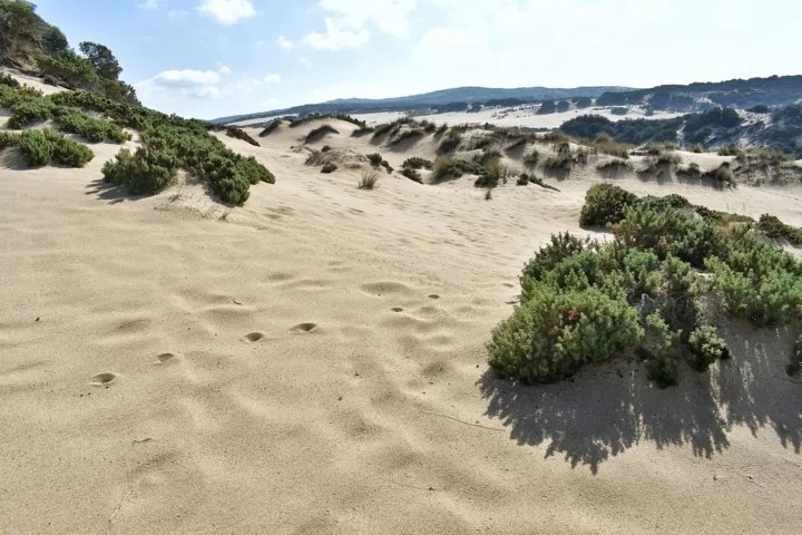 Come Raggiungere Le Dune Di Piscinas Marina Di Arbus E