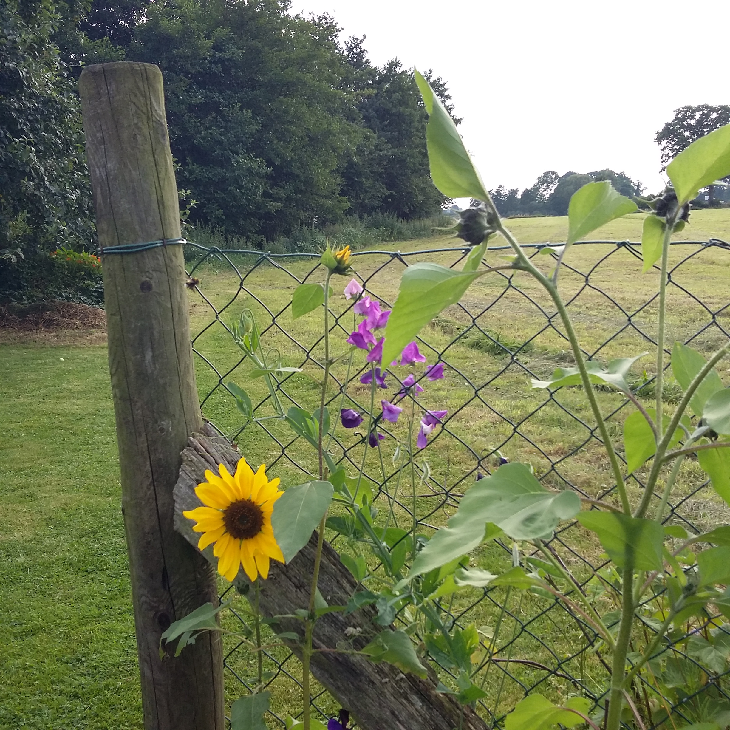 20160724_184729
