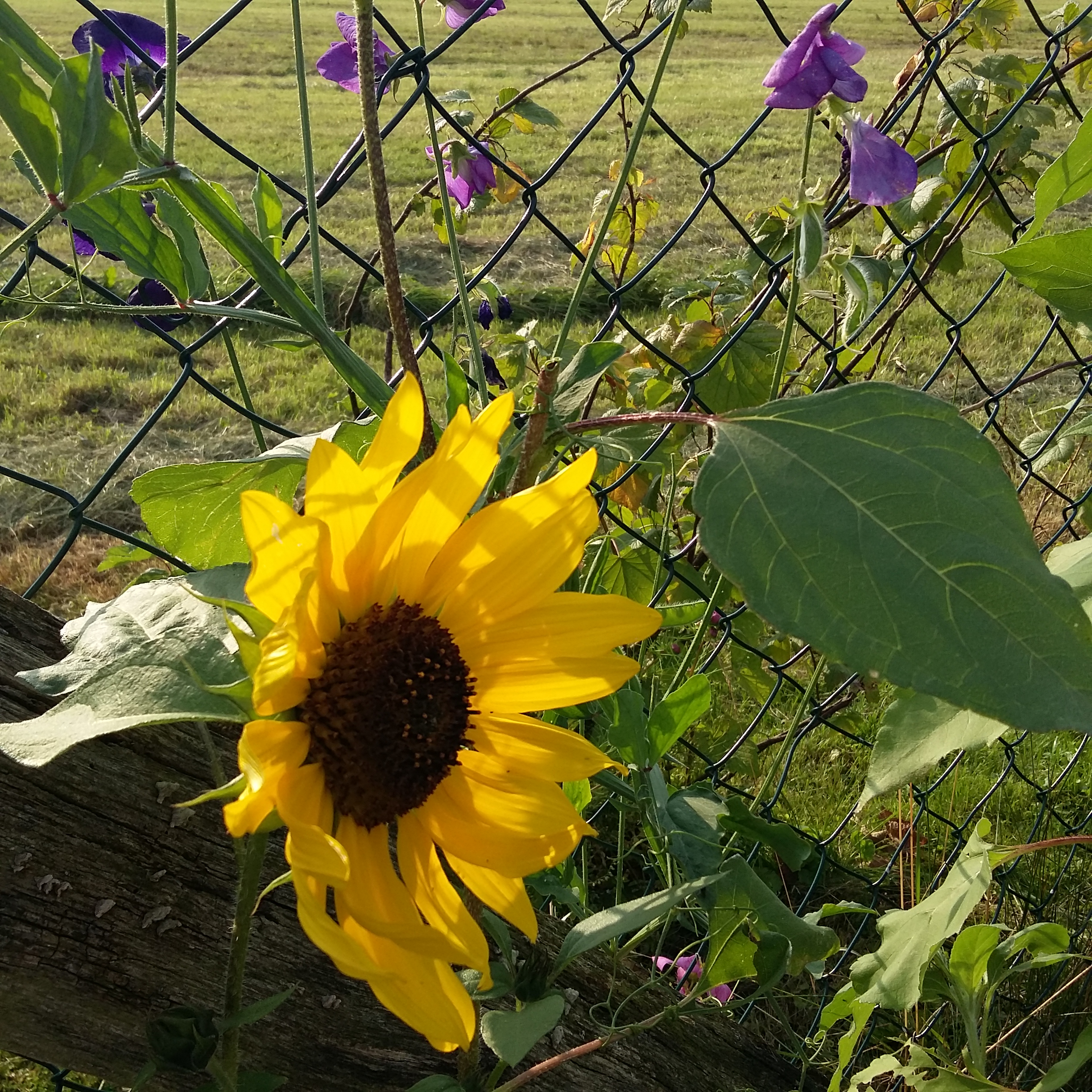 20160724_185152