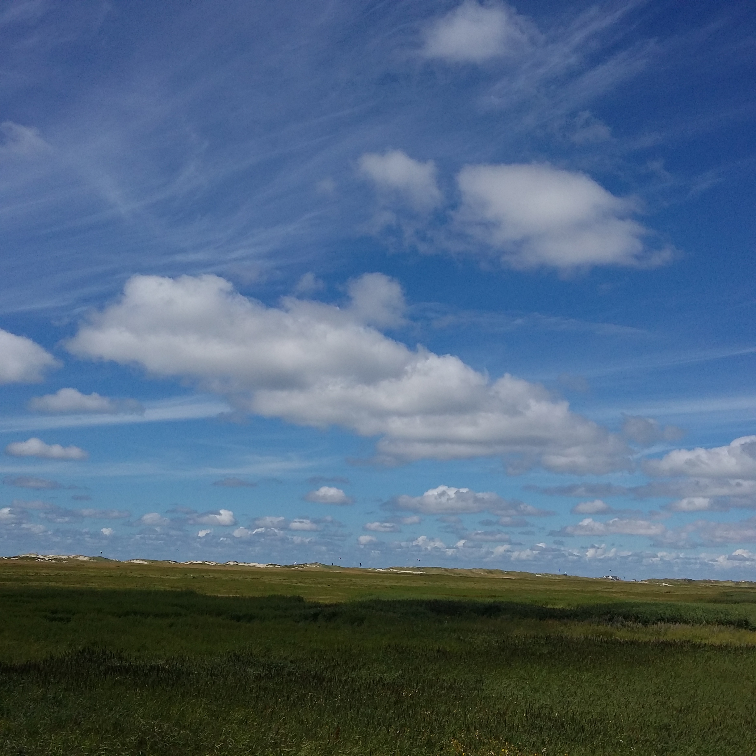 20160730_134954