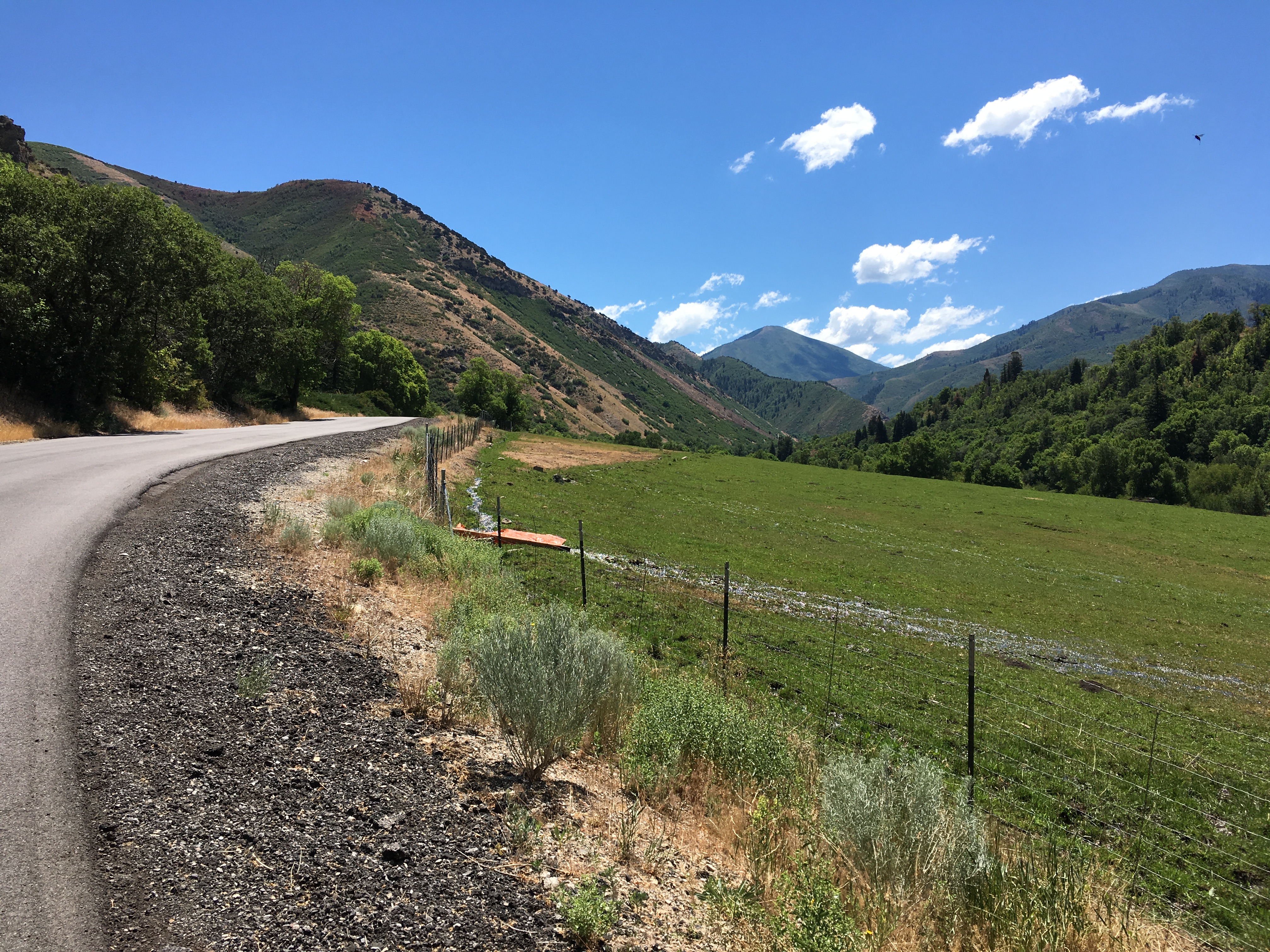 Let's ride! At noon. 100 degrees. Uphill from Nunn's to Big Springs!