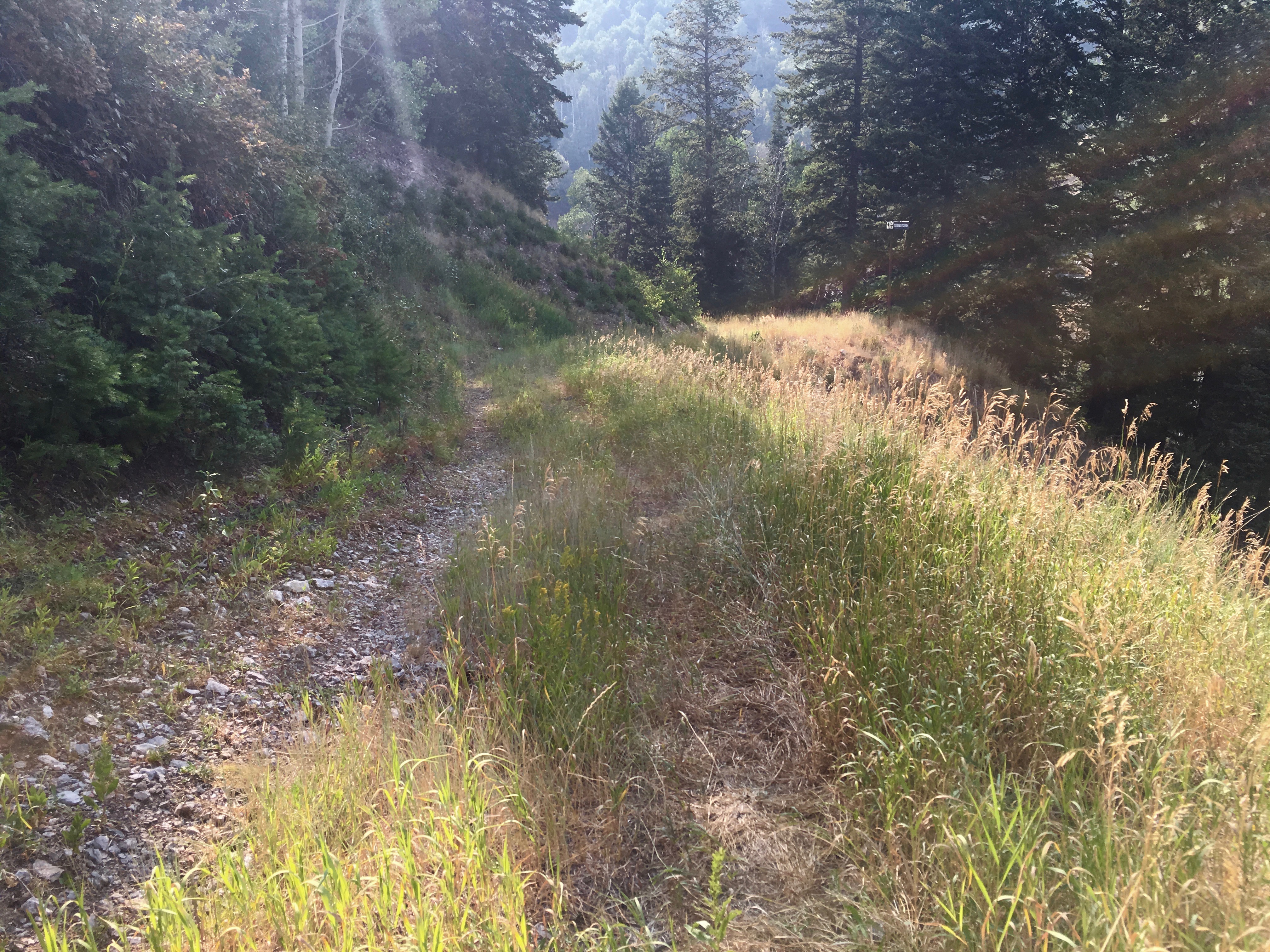 Prickly and awesome!