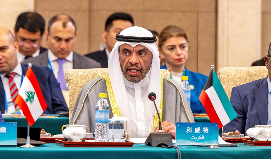 وزير الخارجية: القضية الفلسطينية لاتزال جرحاً نازفاً في قلوب كل الشعوب العربية