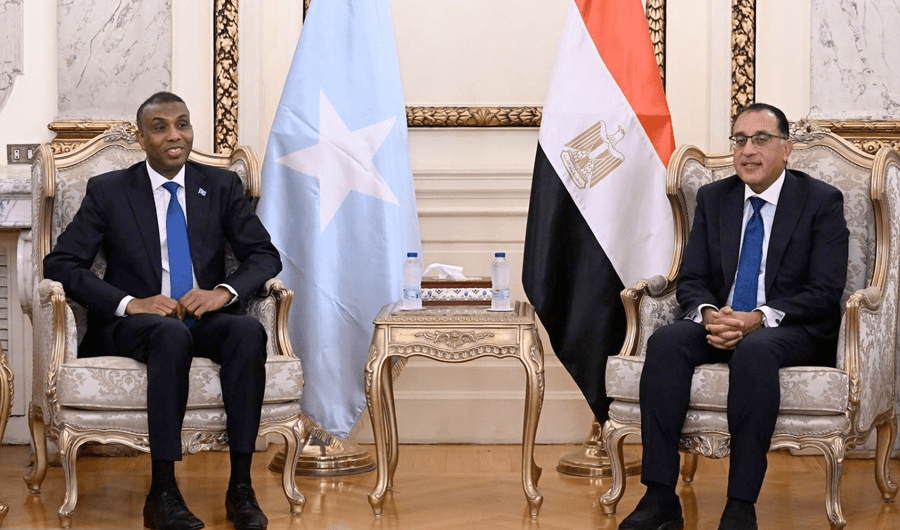مصر تؤكد التزامها بتقديم الدعم اللازم للصومال وصون وحدته