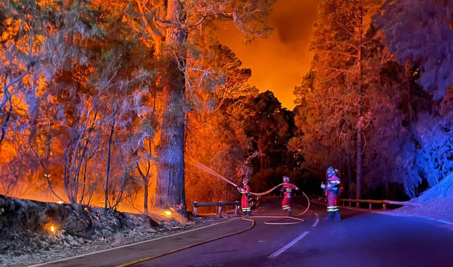 إسبانيا: حرائق الغابات تدمر أكثر من 391 ألف هكتار