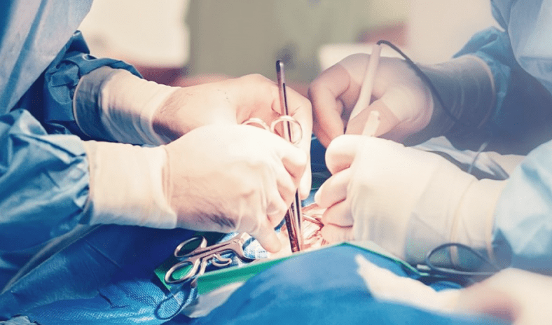 علماء سويسريون يبتكرون رقعة قلبية مطبوعة ثلاثيا لإصلاح أنسجة القلب التالفة