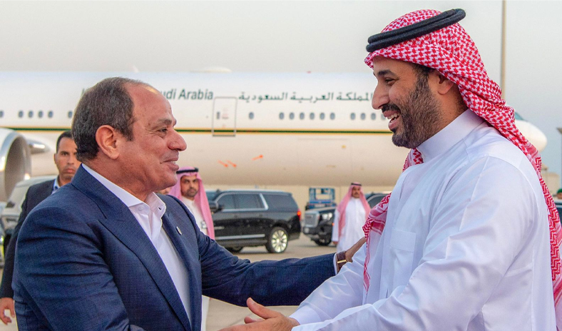 الأمير محمد بن سلمان والرئيس المصري يبحثان تطورات الأوضاع في فلسطين