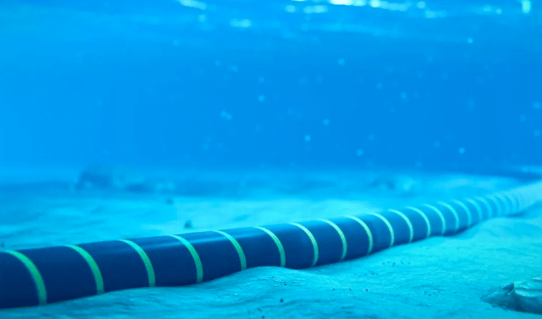 مايكروسوفت: تأثر خدمة &laquo;أزور&raquo; بسبب انقطاع كابلات دولية في البحر الأحمر