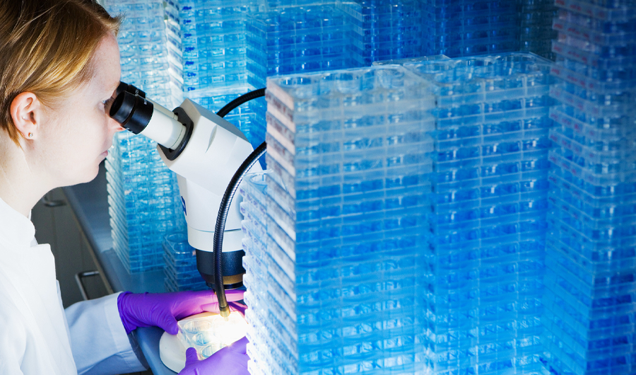 ألمانيا.. 17.2 مليون يورو لتمويل توظيف الذكاء الاصطناعي في جراحة السرطان