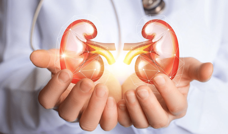 دراسة: أمراض الكلى المزمنة تاسع أبرز سبب للوفاة على مستوى العالم