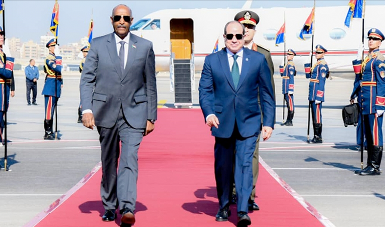 مصر: وحدة السودان خط أحمر لن نتهاون بشأنه