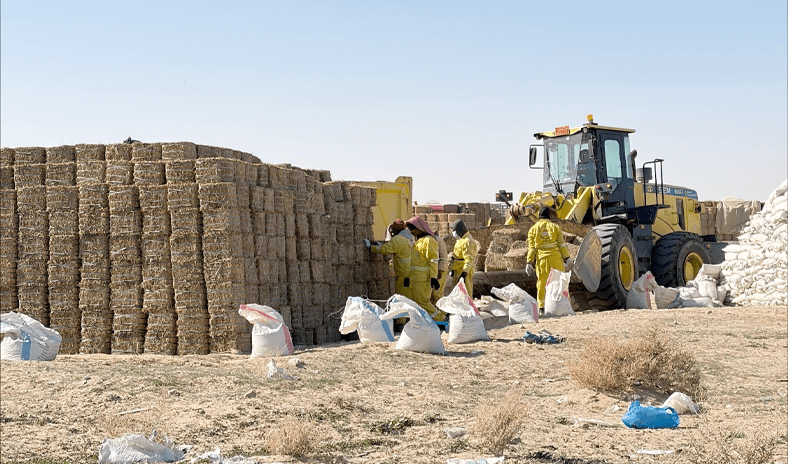 «هيئة البيئة»: رصد مخالفات بيئية في بر الوفرة وعريفجان «هيئة البيئة»: رصد مخالفات بيئية في بر الوفرة وعريفجان