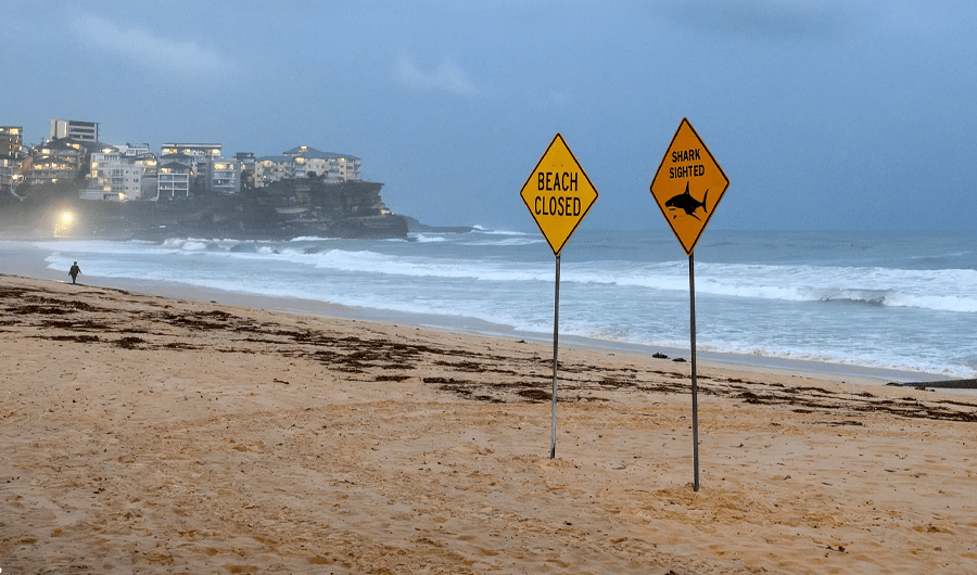 هجمات أسماك القرش تجبر عشرات الشواطئ على الإغلاق في سيدني