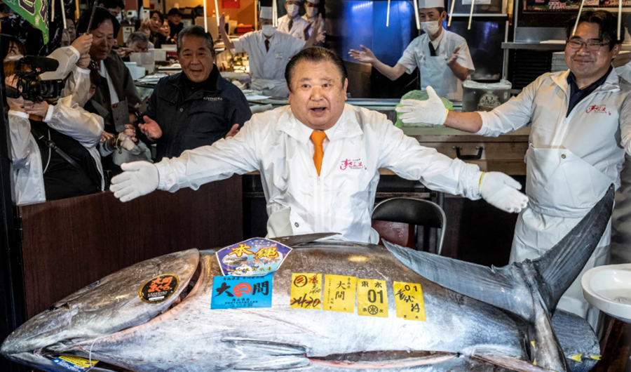 بيع سمكة تونة بـ 3.2 ملايين دولار.. في مزاد بطوكيو