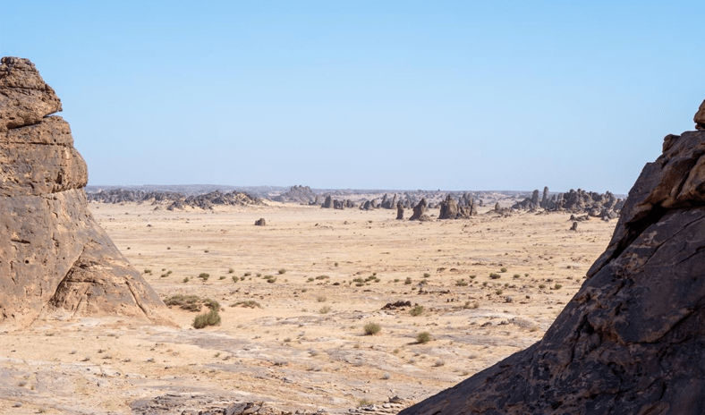 السعودية: اكتشاف علمي في العلا لأحافير نادرة تعود إلى 456 مليون سنة