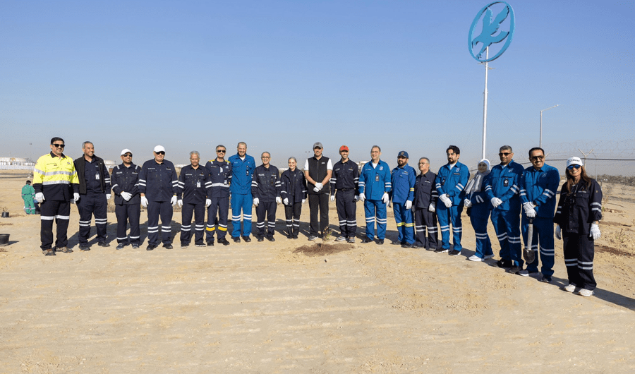 مؤسسة البترول: زراعة أشجار السدر في واحة الأحمدي تعزيزاً للبيئة الخضراء