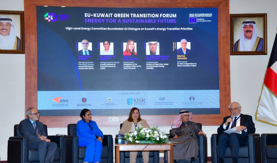 وزير &laquo;الكهرباء&raquo;: التحول في قطاع الطاقة أولوية وطنية رئيسية